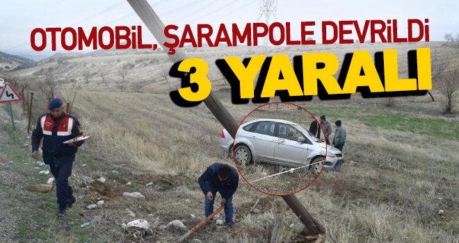 Elektrik direğine çarpan otomobil, şarampole devrildi