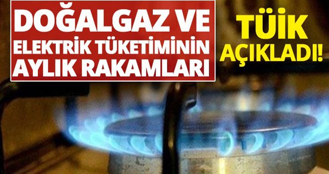Elektrik ve doğal gaz fiyat verileri açıklandı!