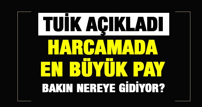 En fazla harcama yapılan alanlar hangileri?