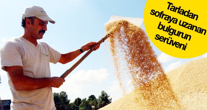 En kaliteli durum buğdayı Güneydoğu'da