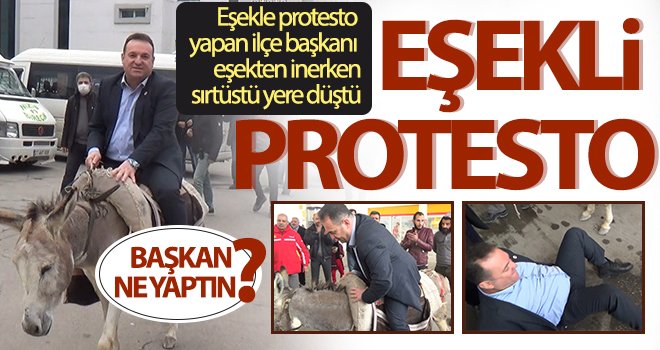 Eşekli protesto, başkanın sırtüstü yere düşmesi ile sona erdi