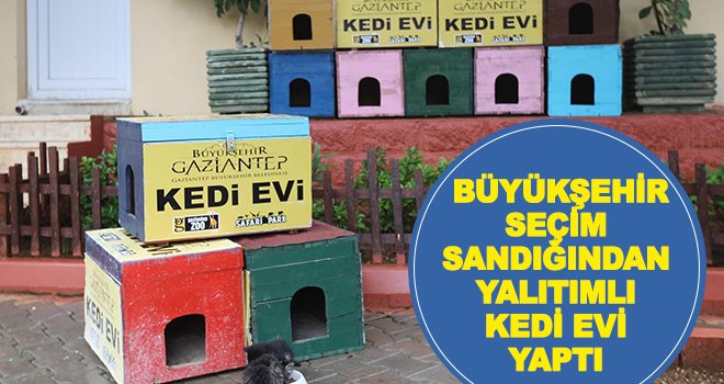 Eski seçim sandıklarından yalıtımlı 'Kedi Evleri' yapıldı 