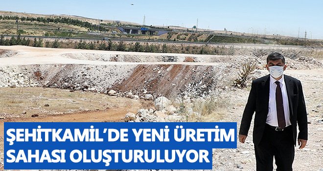 Fadıloğlu, alanda incelemede bulundu