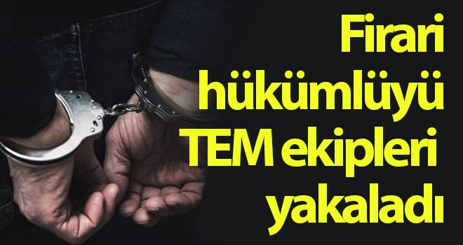 Firari hükümlüyü TEM ekipleri yakaladı