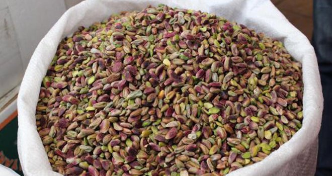Fıstık fiyatındaki artışta toptancıdan stokçuya suçlama