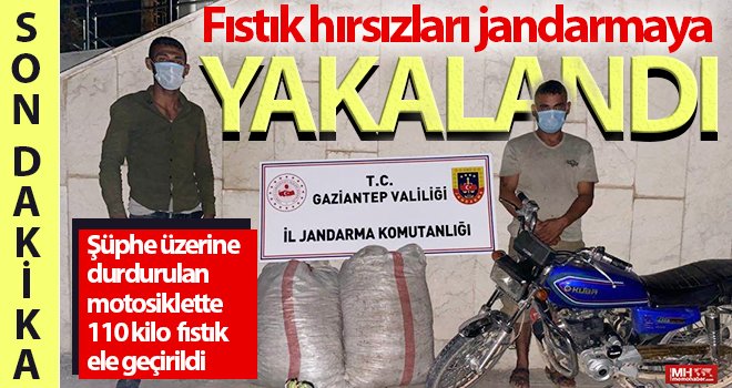 Fıstık hırsızları jandarmaya yakalandı