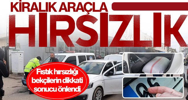 Fıstık hırsızlığı bekçilerin dikkati sonucu önlendi