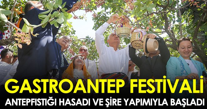Gastroantep festivali, antepfıstığı hasadı ve şire yapımıyla başladı