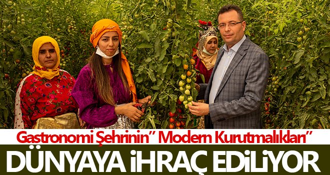 Gastronomi Şehrinin Modern Kurutmalıkları dünyaya ihraç ediliyor
