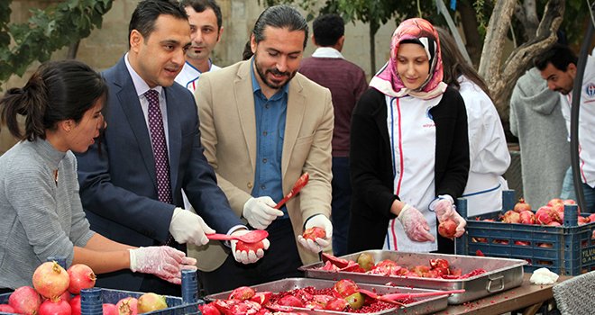GAÜN öğrencilerinden renkli nar festivali