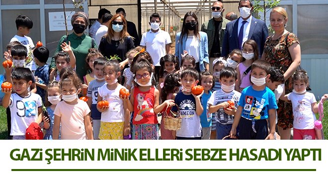 Gazi şehrin minik elleri sebze hasadı yaptı