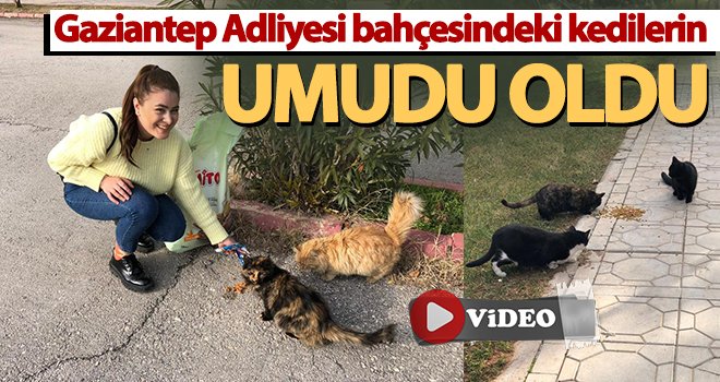  Muazzez Kalemcioğlu kedilerin umudu oldu