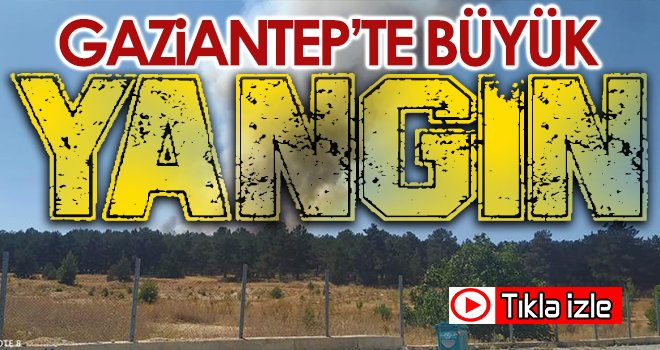 Gaziantep Burç ormanlarında büyük yangın 