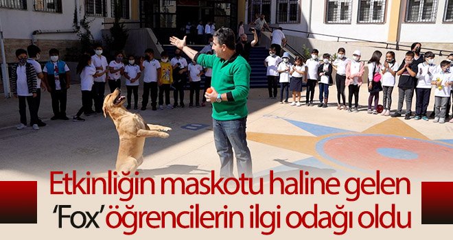 Gaziantep Büyükşehir, miniklere hayvan sevgisi aşılamak için düğmeye bastı