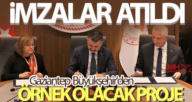 Gaziantep Büyükşehir’den, kentteki hayvan yetiştiricilerine destek