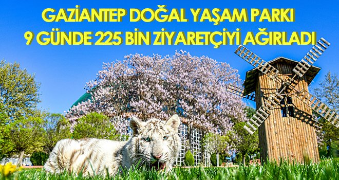 Gaziantep Doğal yaşam Parkı 9 günde 225 bin ziyaretçiyi ağırladı
