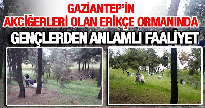 Gaziantep Erikçe Ormanı temizleniyor