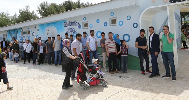 Gaziantep Hayvanat Bahçesi Ziyaretçi Rekoru Kırdı