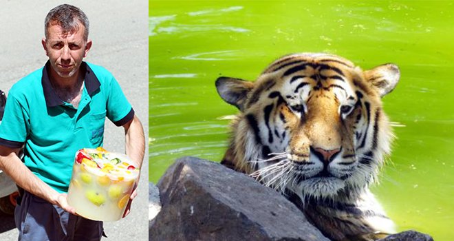 Gaziantep Hayvanat Bahçesi'ne, 'sıcak' ayarı