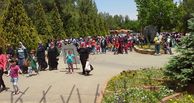 GAZİANTEP HAYVANAT BAHÇESİ’NE ZİYARETÇİ AKINI 
