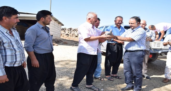 Gaziantep Orman İşletme Müdürlüğü'nden bir ilk daha