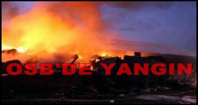 Gaziantep OSB'de korkutan yangın, söndürme çalışmaları sürüyor