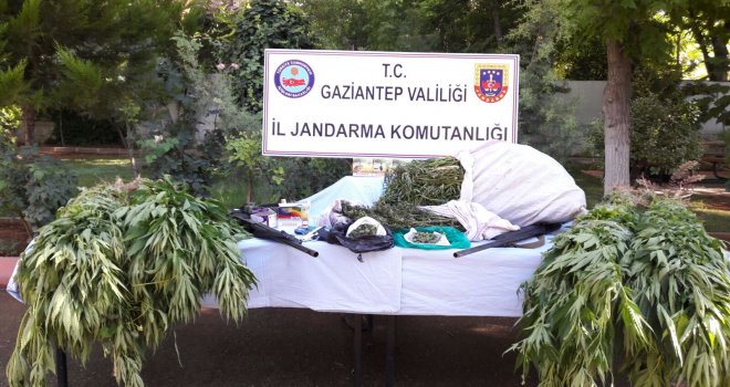 Gaziantep'te uyuşturucuya geçit yok