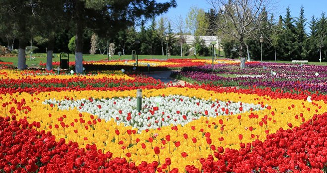 GAZİANTEP’E BAHAR “LALELERLE” GELDİ