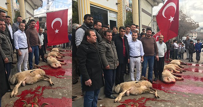 Gaziantepli iş adamından Zeytin Dalı’na 5 kurban