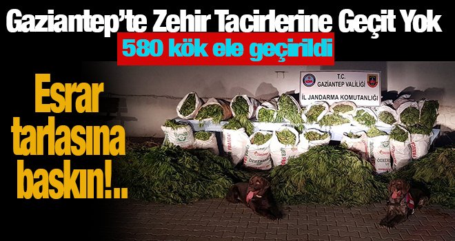 Gaziantep'te zehir tacirlerine şok baskın