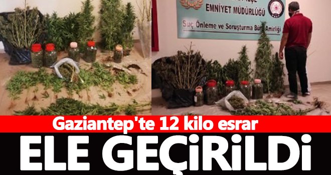 Gaziantep'te 12 kilo esrar ele geçirildi: 1 gözaltı
