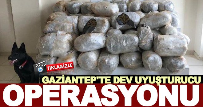 Gaziantep'te 225 kilo esrar ele geçirildi: 1gözaltı