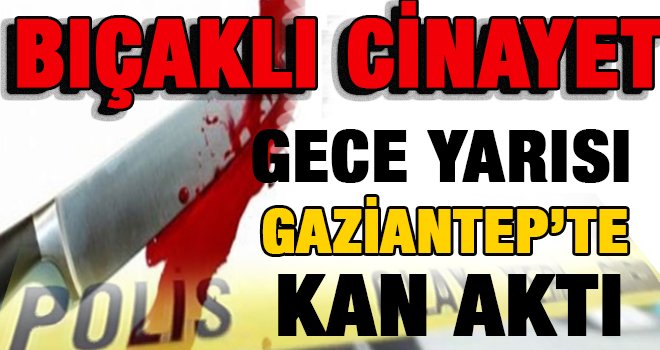 Gaziantep'te kavgada bıçaklandı, hastanede öldü