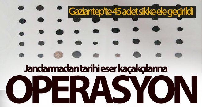 Gaziantep'te 45 adet sikke ele geçirildi