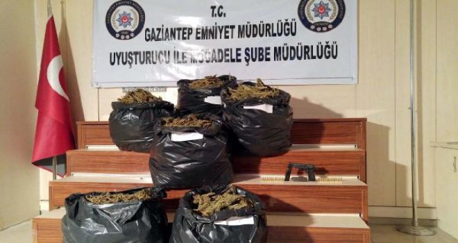 Gaziantep'te 60 kilo esrarla yakalanan 3 kişi tutuklandı
