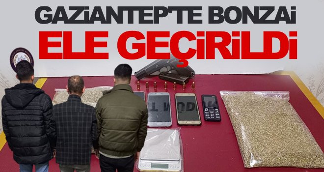 Gaziantep'te 618 gram bonzai ele geçirildi