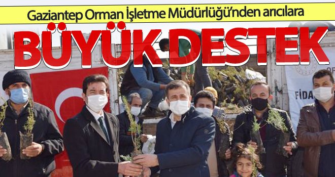 Gaziantep'te, arı yetiştiriciliğine 10 bin fidan dağıtıldı