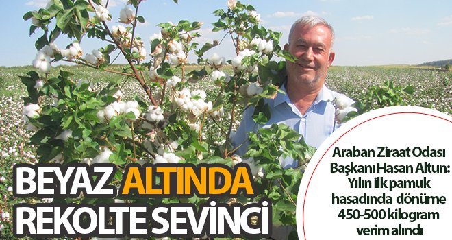 Gaziantep’te beyaz altında rekolte sevinci