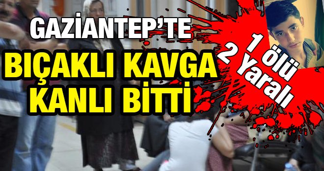 Gaziantep'te çınar yaprağı yüzünden cinayet işlendi