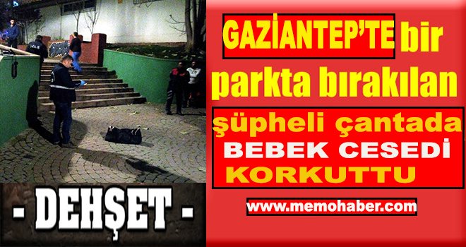 Gaziantep'te Parkta valize buzla konulmuş bebek cesedi bulundu