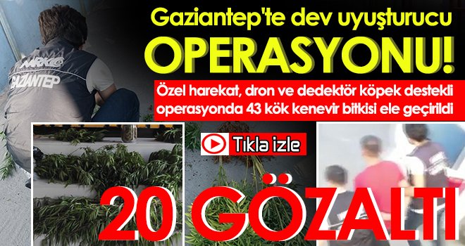 Gaziantep'te dev uyuşturucu operasyonu: 20 gözaltı