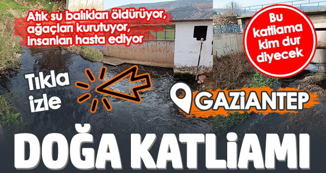 Gaziantep’te doğa katliamı 