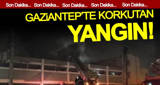 Son dakika! Gaziantep'te fabrika yangını...