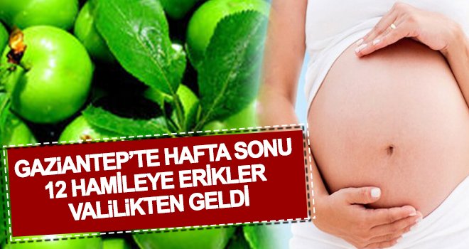 Gaziantep'te hafta sonu 12 hamileye erikler valilikten geldi