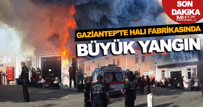 Gaziantep'te halı fabrikasında yangın! 13 işçi dumandan etkilendi
