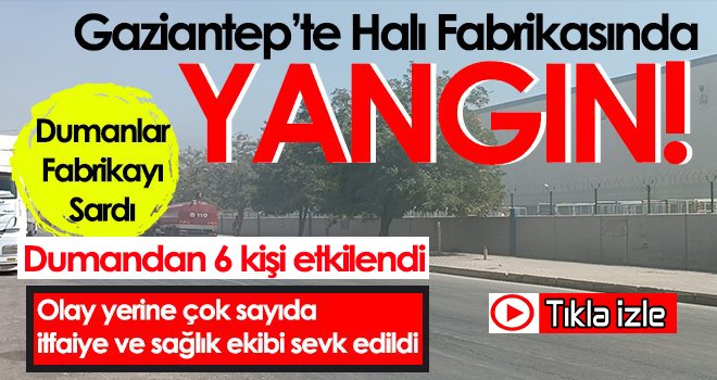 Gaziantep'te Halı Fabrikasında Yangın