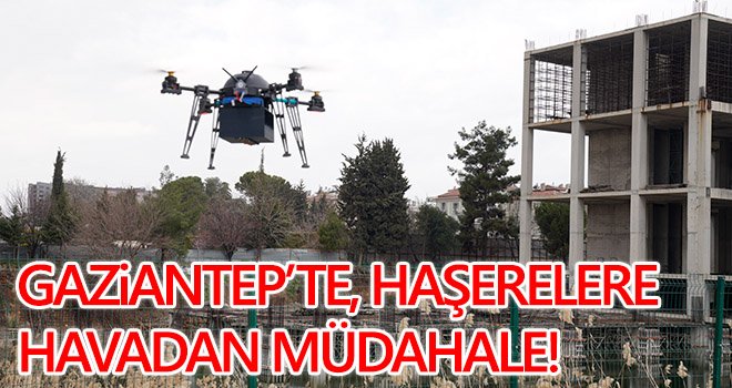 Gaziantep'te haşerelere drone ile müdahale...