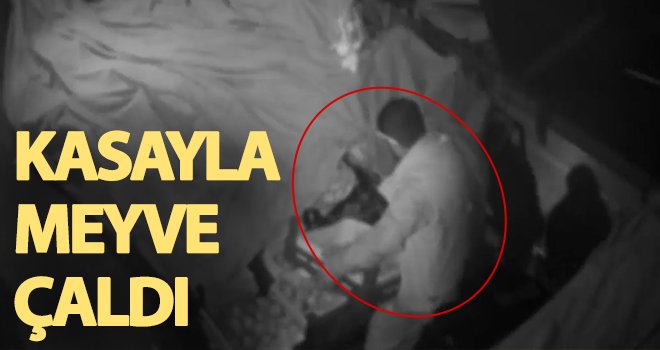 Gaziantep'te kasayla meyve çalan hırsız kamerada