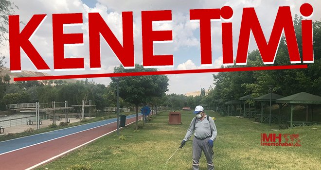 Gaziantep'te kene timi
