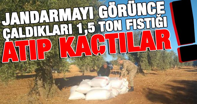 Gaziantep'te ki o hırsızlar araçlarıyla kayıplara karıştı
